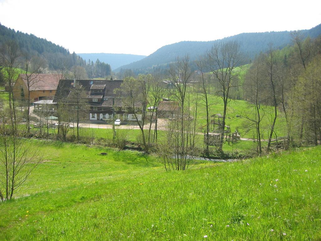Landgasthof Untere Muehle Alpirsbach Luaran gambar
